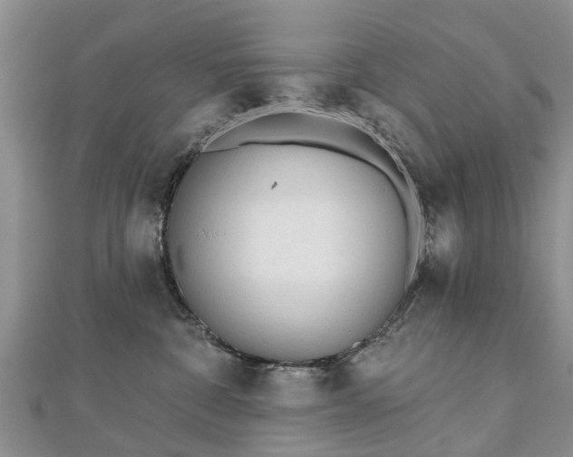 X0000112480332200908241300