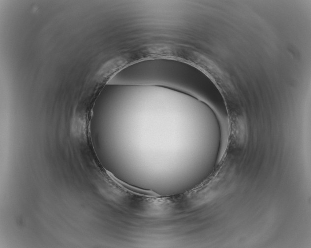 X0000112480333200908241259