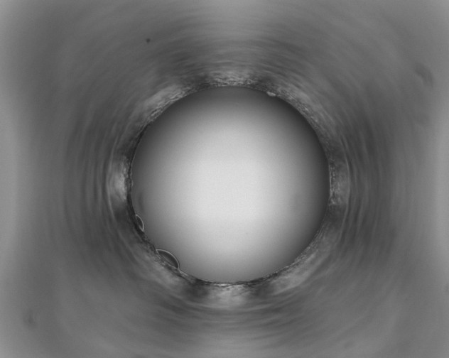 X0000112480334200908241259