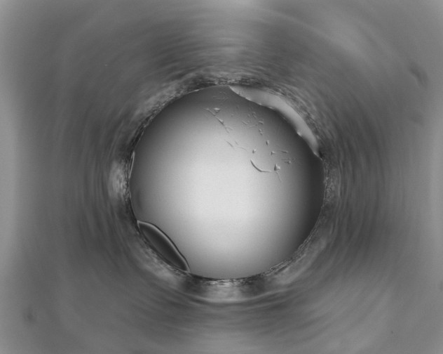 X0000112480335200908241259