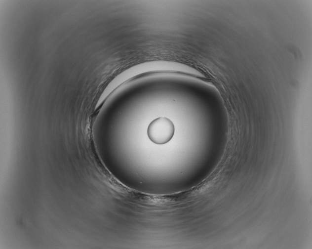 X0000112480336200908241259