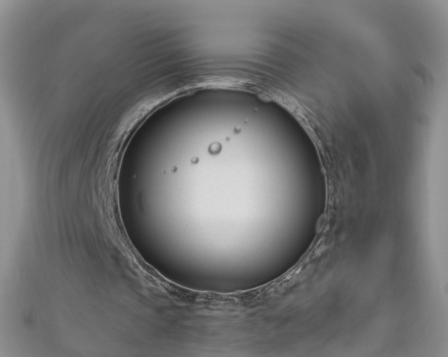 X0000112480337200908241259