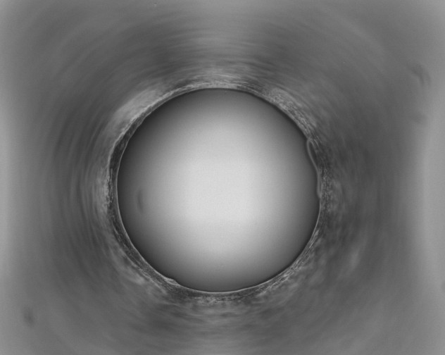 X0000112480338200908241259