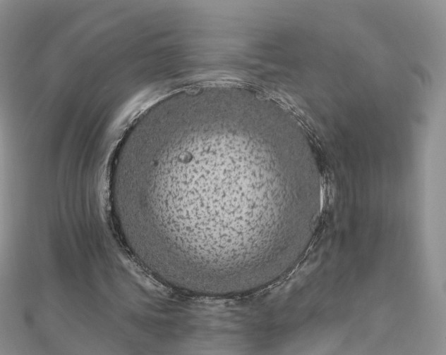 X0000112480339200908241259