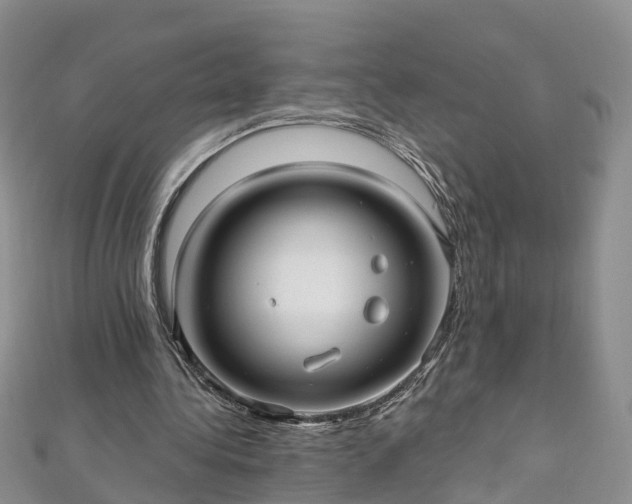 X0000112480340200908241259