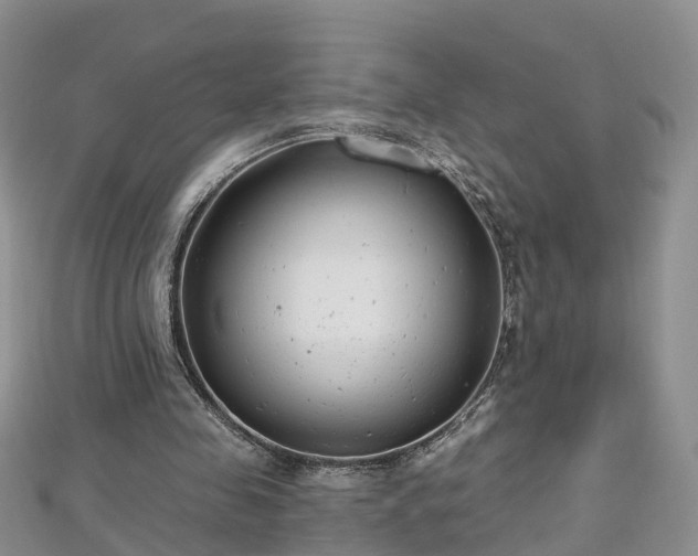 X0000112480341200908241259