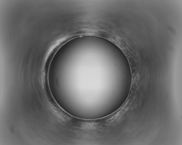 X0000112480342200908241259