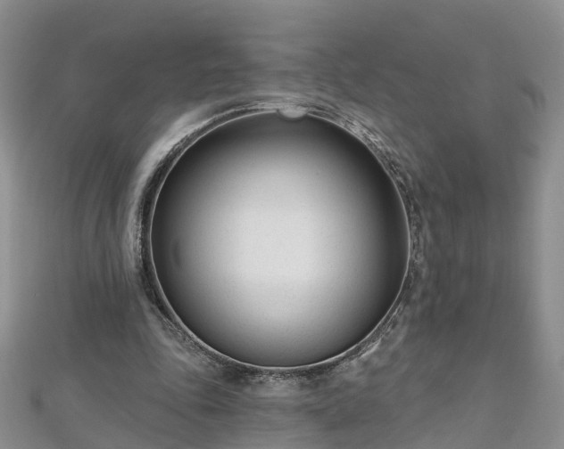 X0000112480343200908241259