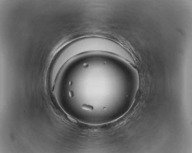 X0000112480344200908241259