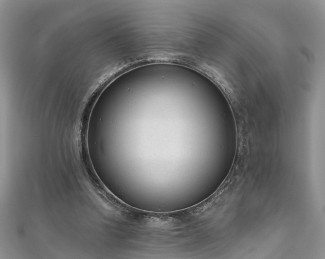 X0000112480346200908241259