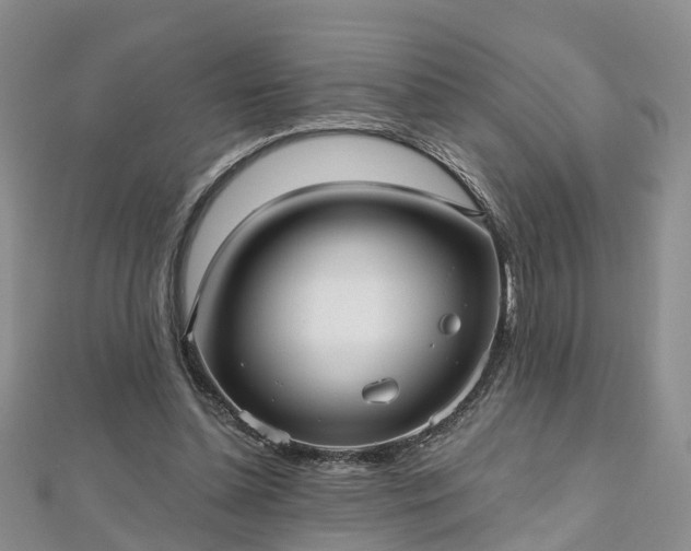 X0000112480348200908241259