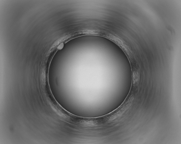 X0000112480349200908241259