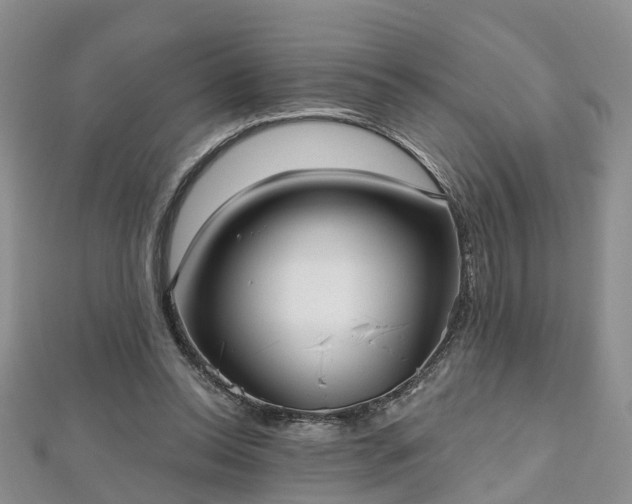 X0000112480350200908241259