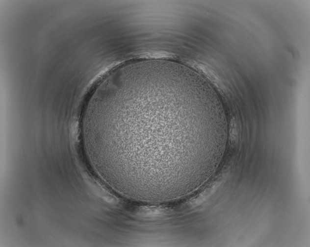 X0000112480351200908241259