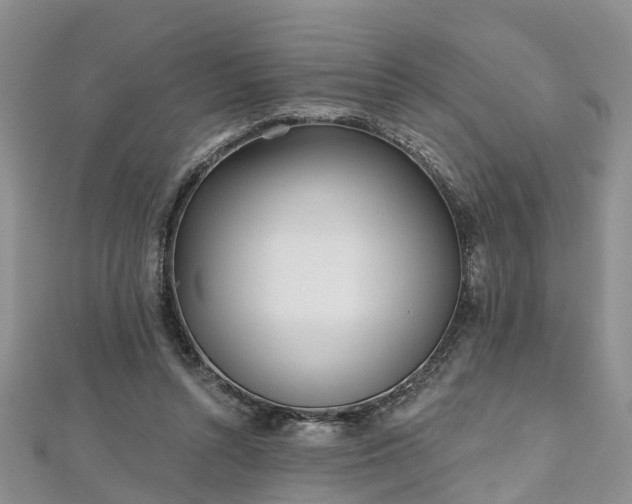 X0000112480352200908241259