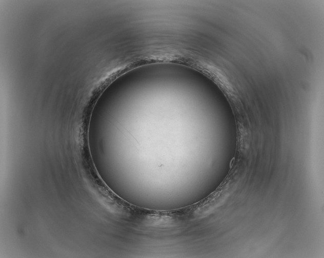 X0000112480354200908241259