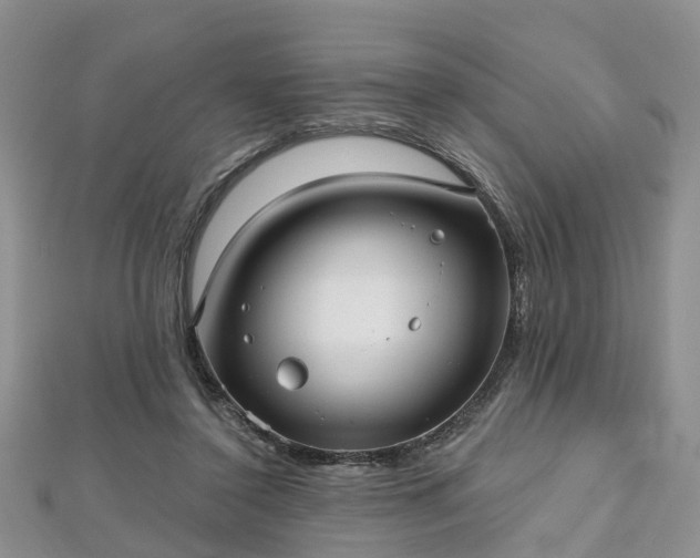 X0000112480356200908241259