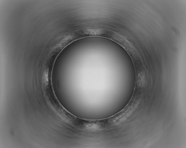 X0000112480358200908241259