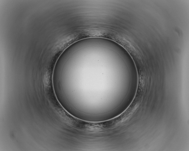 X0000112480359200908241259