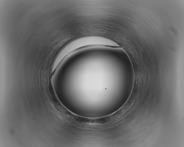 X0000112480360200908241259