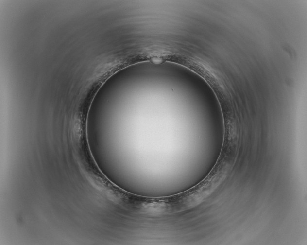 X0000112480362200908241259