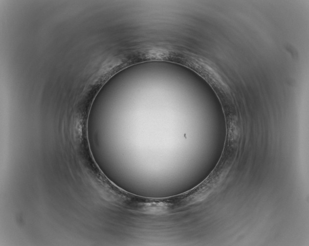 X0000112480363200908241259