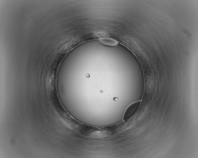 X0000112480364200908241259