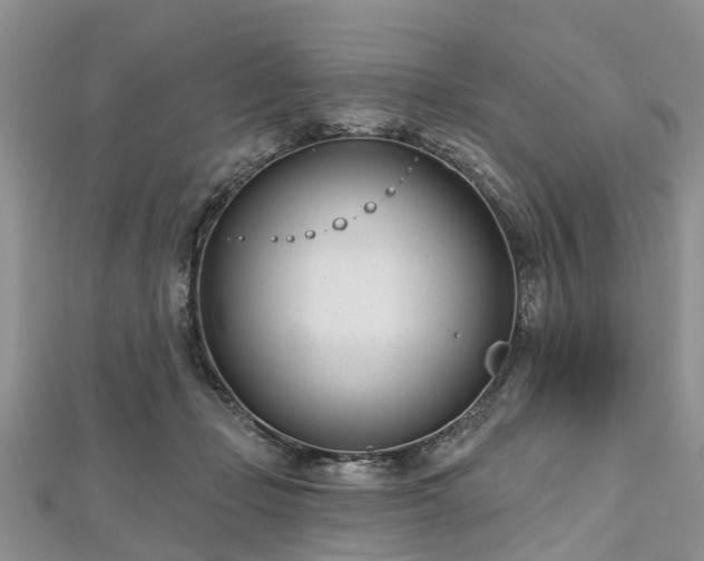 X0000112480365200908241259