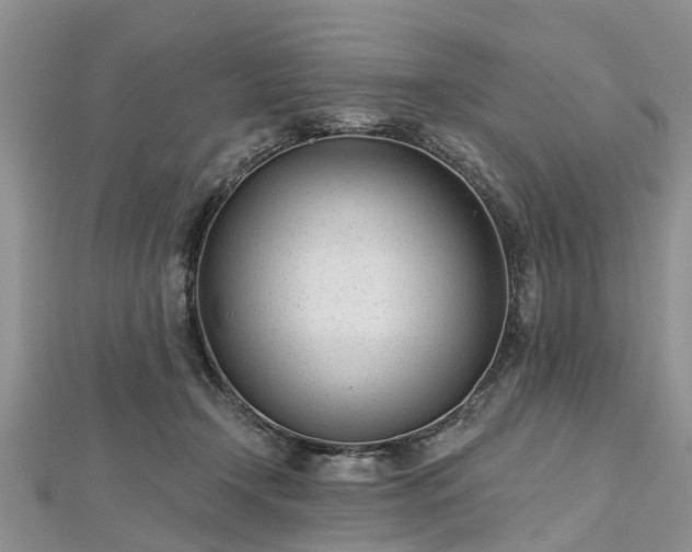 X0000112480366200908241259