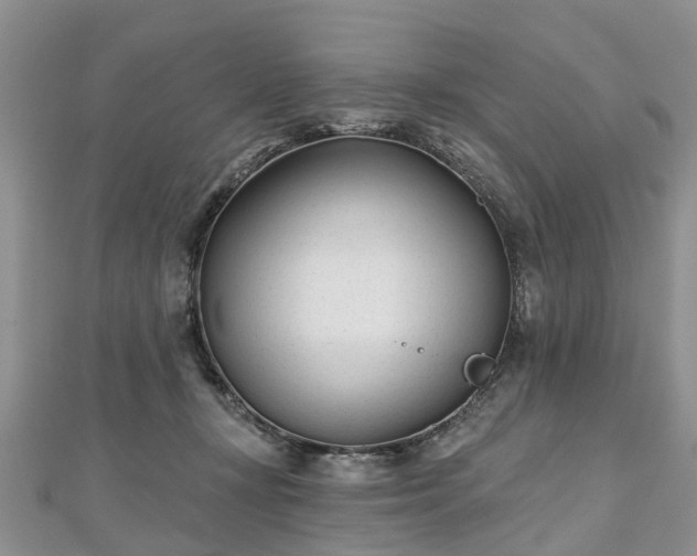 X0000112480367200908241259