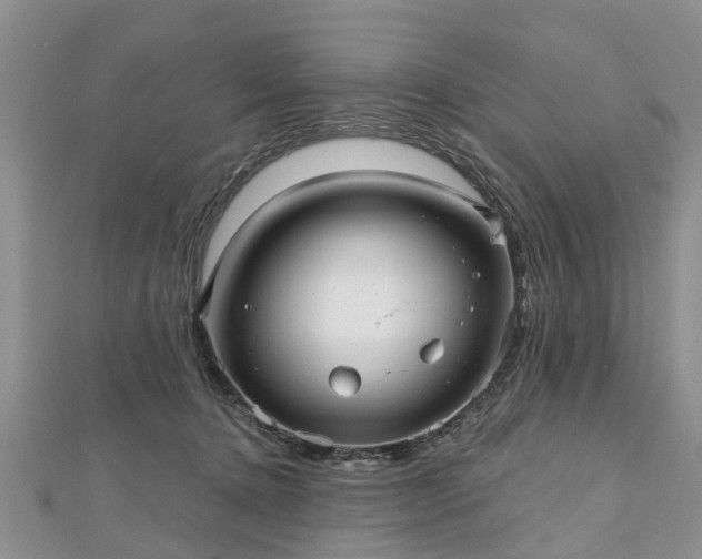 X0000112480368200908241259