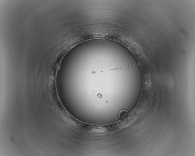 X0000112480369200908241259