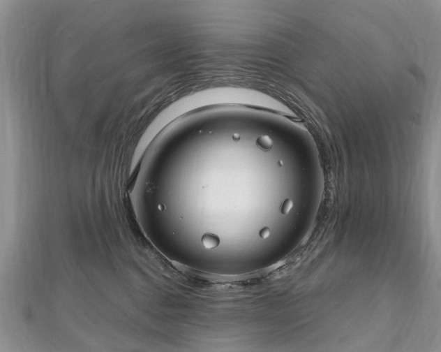 X0000112480376200908241259