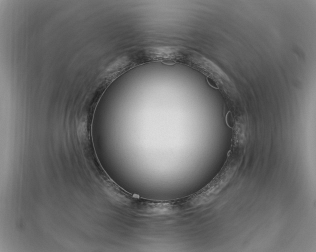 X0000112480377200908241259