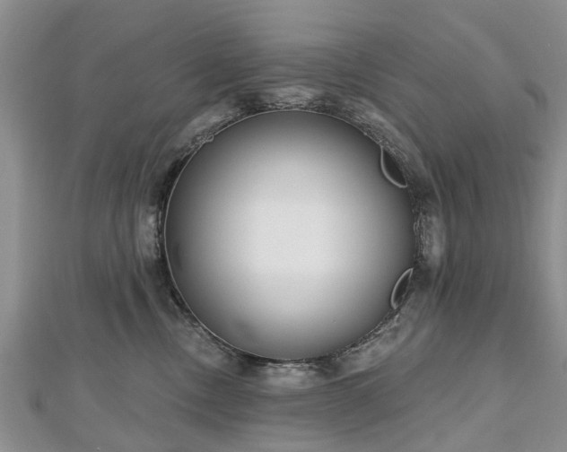 X0000112480378200908241259