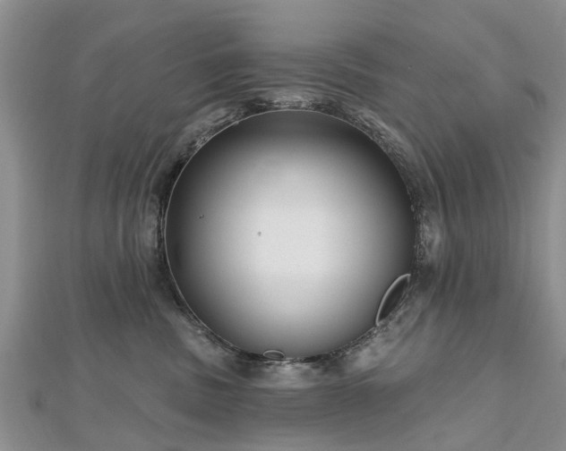 X0000112480379200908241259