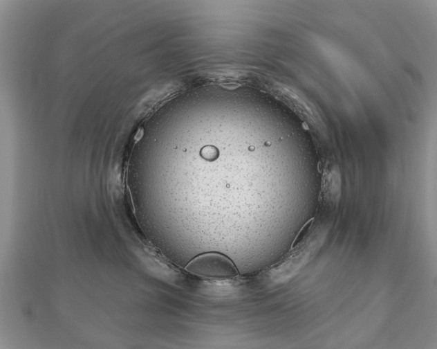 X0000112480381200908241259