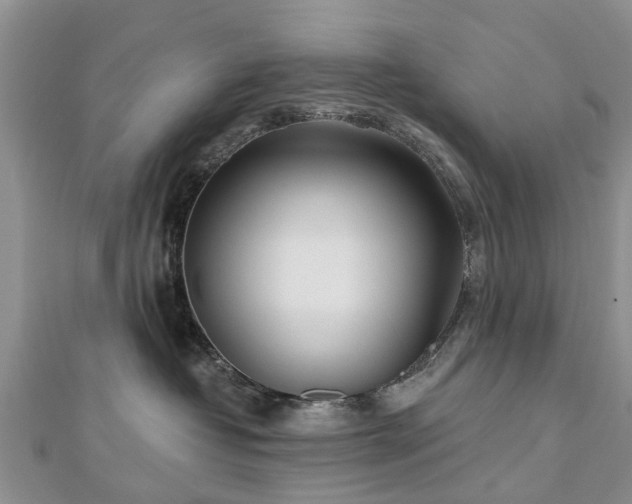 X0000112480382200908241259