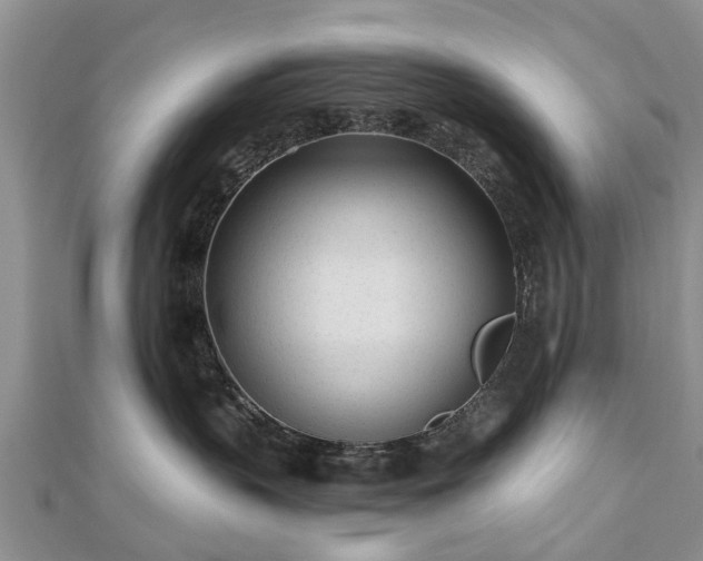 X0000112480383200908241259