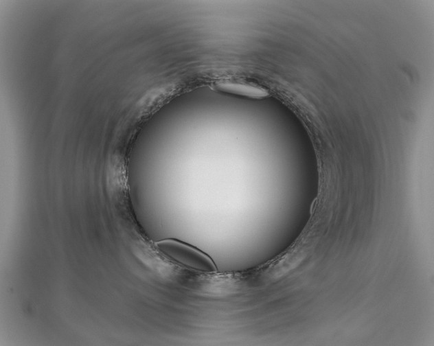 X0000112480384200908241259