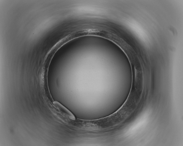 X0000112480387200908241259