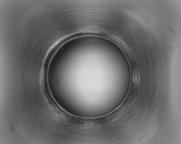 X0000112480388200908241259