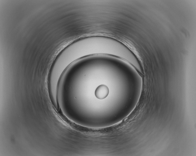 X0000112480389200908241259