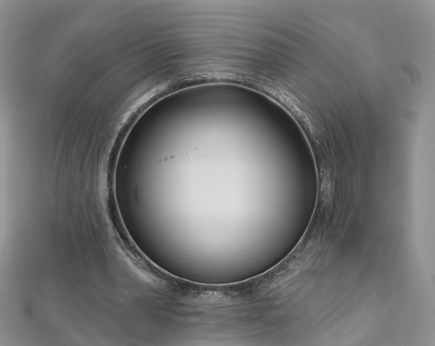 X0000112480390200908241259