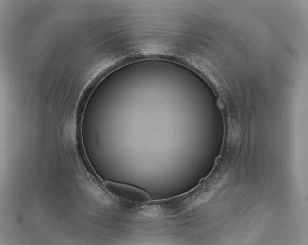 X0000112480391200908241259