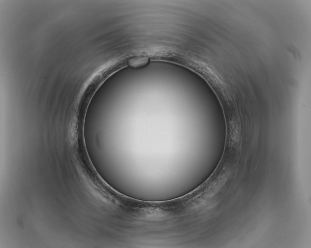 X0000112480392200908241259