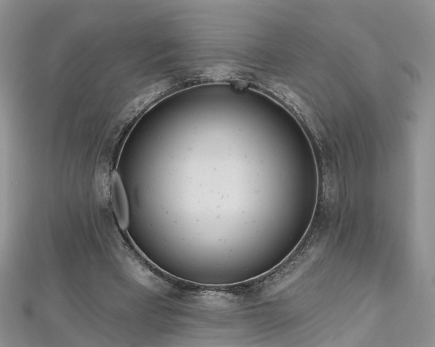 X0000112480393200908241259