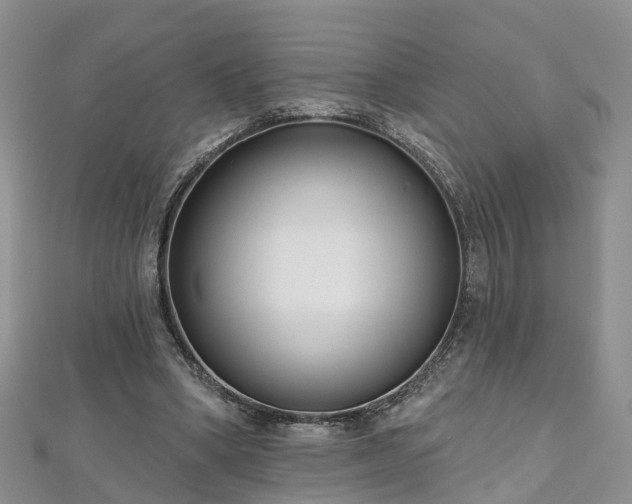 X0000112480394200908241259