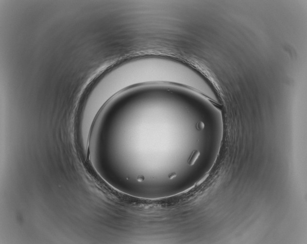 X0000112480395200908241259