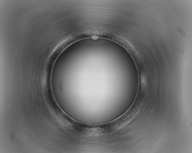 X0000112480396200908241259